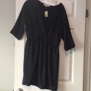 Ann Taylor Loft Dress Size 14P